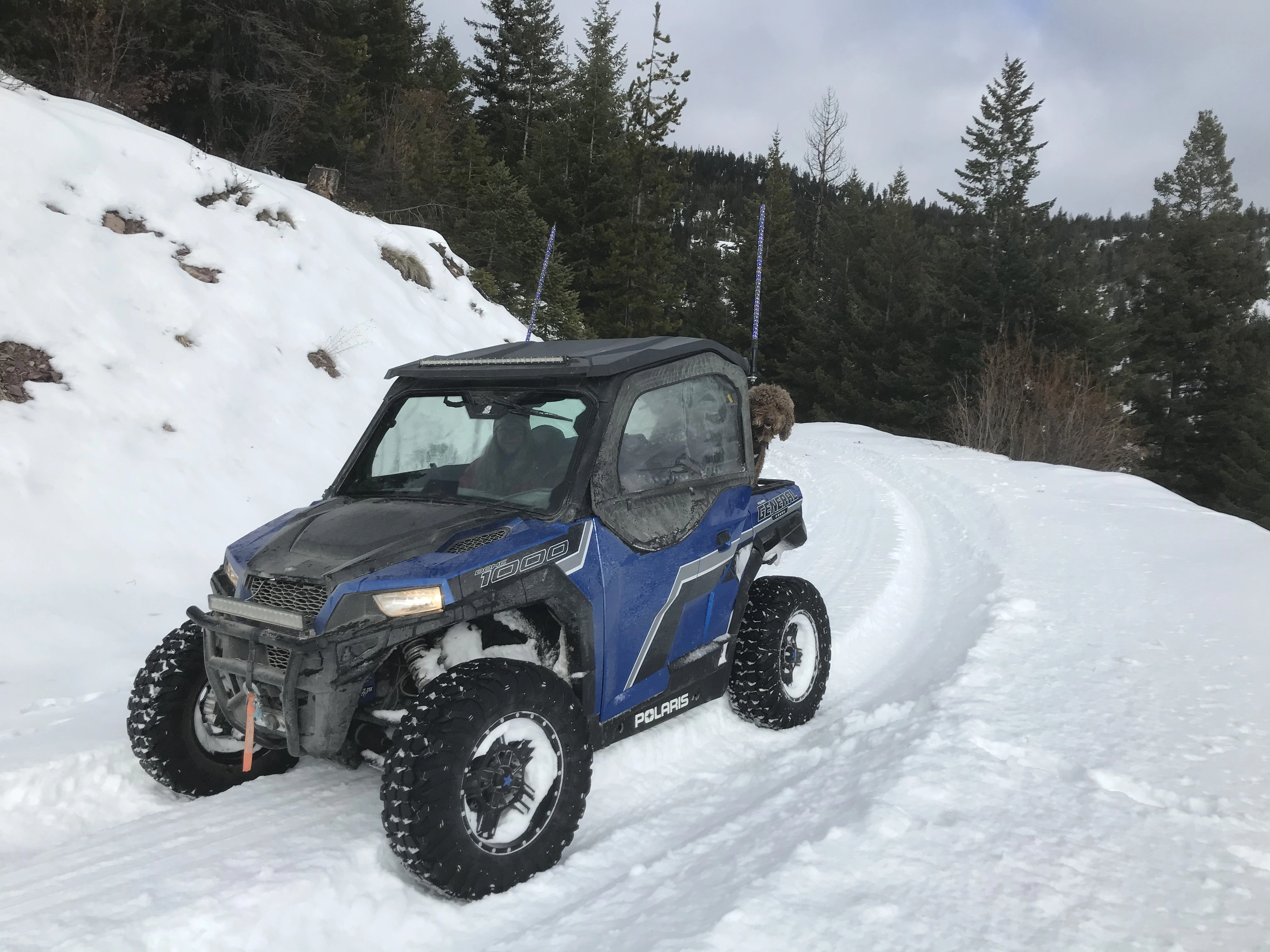 Polaris tur